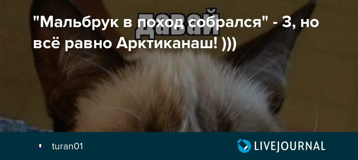 Мальбрук в поход собрался. Мальбрук в поход собрался наелся кислых. Мальбрук в поход собрался кто такой. Мальбрук в поход.