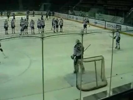 Амурские тигры динамо трансляция