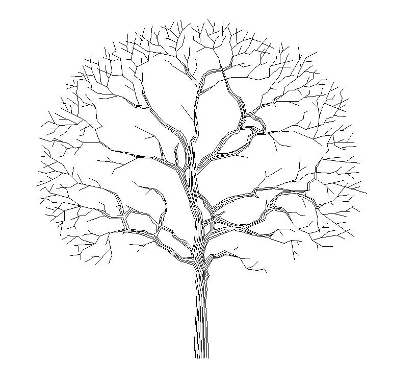 Дерево чертеж. Дерево схематический рисунок. Антураж деревья. Чертежные деревья.