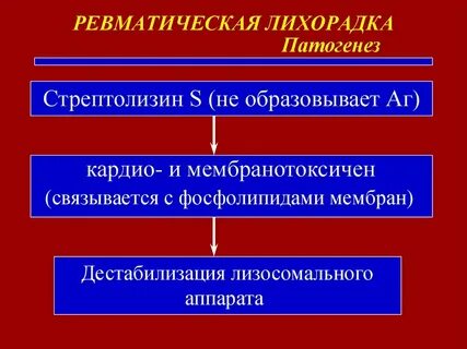 Патогенез острой ревматической лихорадки