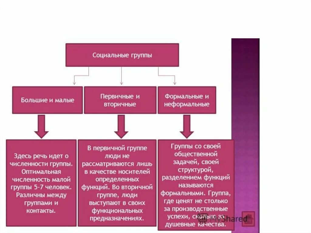 Характеристика профессиональной социальной группы