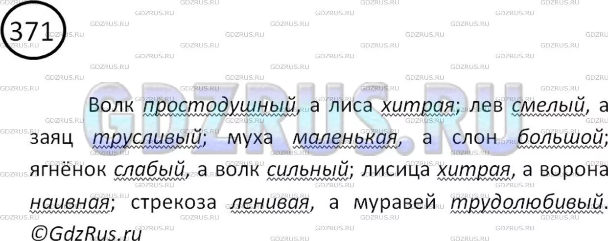 Русский 5 класс номер 371. Упражнение 371 по русскому языку. Русский язык 5 класс 1 часть упражнение 371. Русский язык 6 класс 371. Русский 5 класс номер 371.