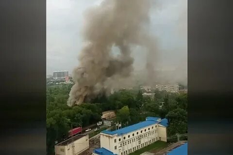 Пожар в зоопарке