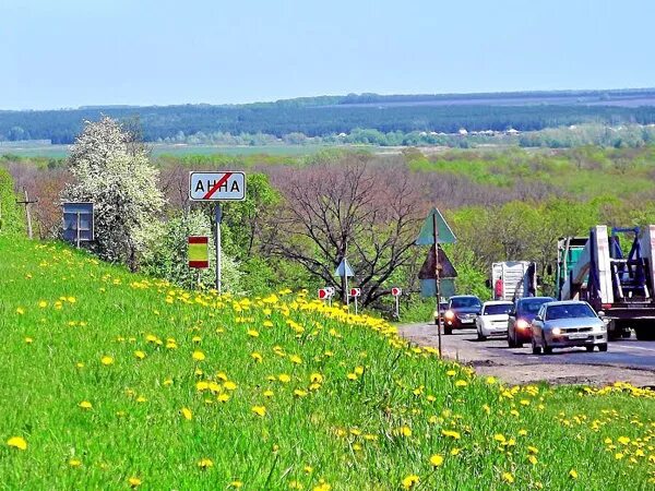 погода воронежской обл аннинский р