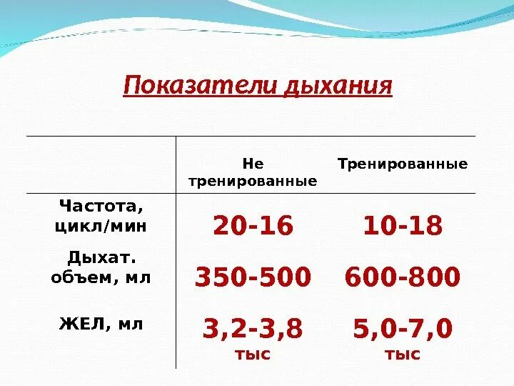 Показатели дыхания. Частота дыхания, циклов/мин. Частота дыхания норма. Частота дыхания у взрослого человека. Частота дыхания 10