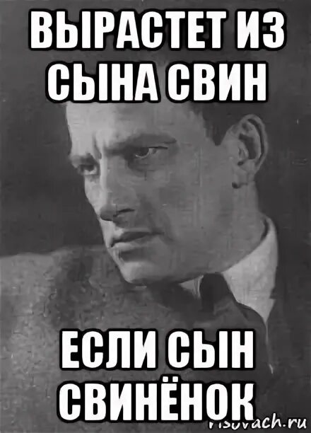 Стихи маяковского лучшие. Вырастет из сына свин если сын свиненок. Вырастет из сына свин картинка. Вырастет из сына свин. Вырастет из сына свин если.