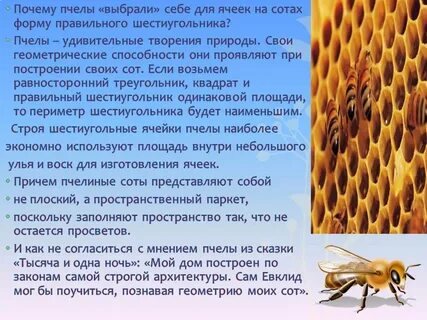 Что она делает пчела