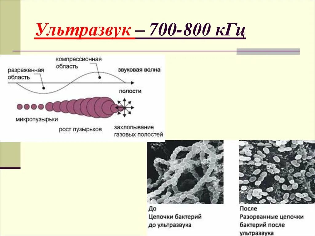 Ультразвук фактор. Действие ультразвука на микроорганизмы. влияние ультразвука на микробы. механизм действия ультразвука на микроорганизмы. влияние ультразвука на микроорганизмы микробиология.