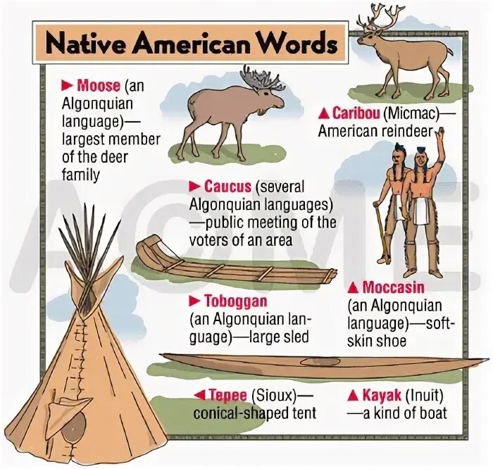 Native words. Native english words. native american words. native americans презентация.