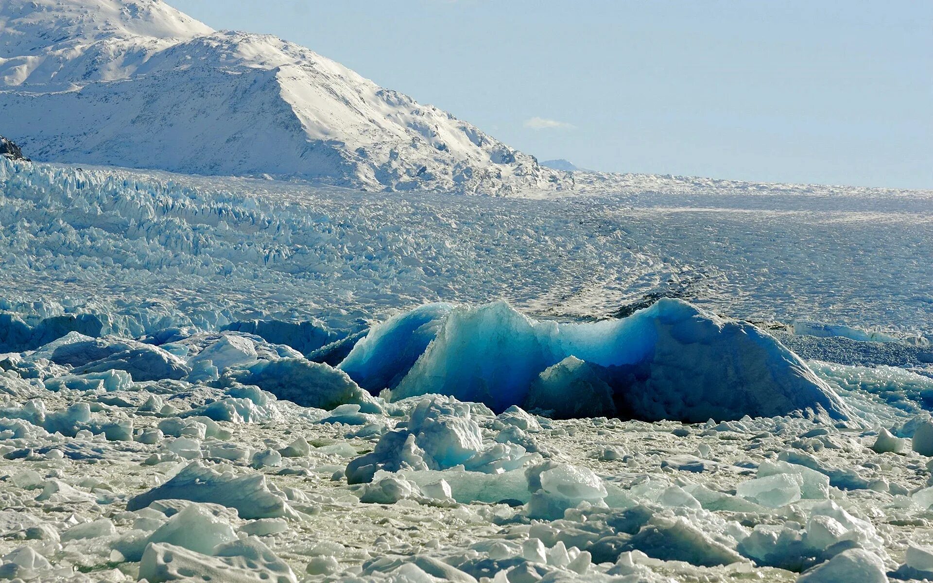Медведь на айсберге. Полярный холод. Северный полюс айсберги. Ветер в антарктиде. Белая радуга в арктике.