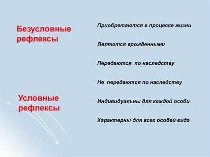 Условный рефлекс приобретается в течение жизни