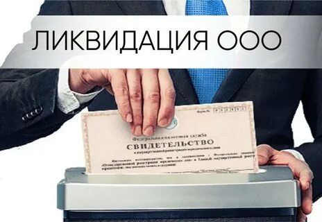 Регистрация ликвидация юр лиц