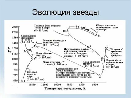 Фазы звезд