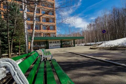 Сан березовая роща