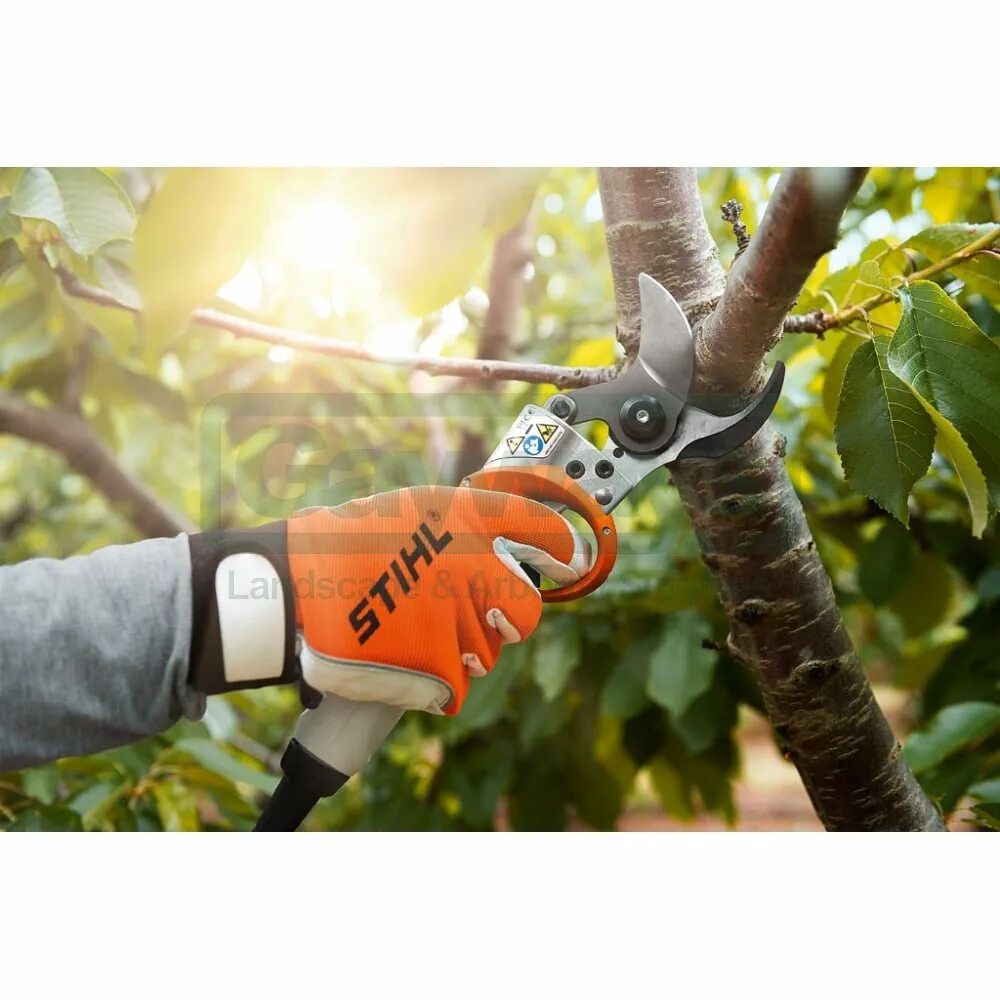 Творница секаторы. Сучкорез black & decker gk1000. Цепная электрическая пила black+decker gk1630t. Пила для веток электрическая. Сучкорез stihl ручная.