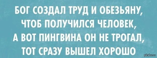 Бог создал труд и обезьяну. Бог создал труд и обезьяну чтобы получился человек. Бог создал человека а вот пингвина он не. Ну а пингвина он не трогал тот сразу вышел хорошо. Неплохо вышло