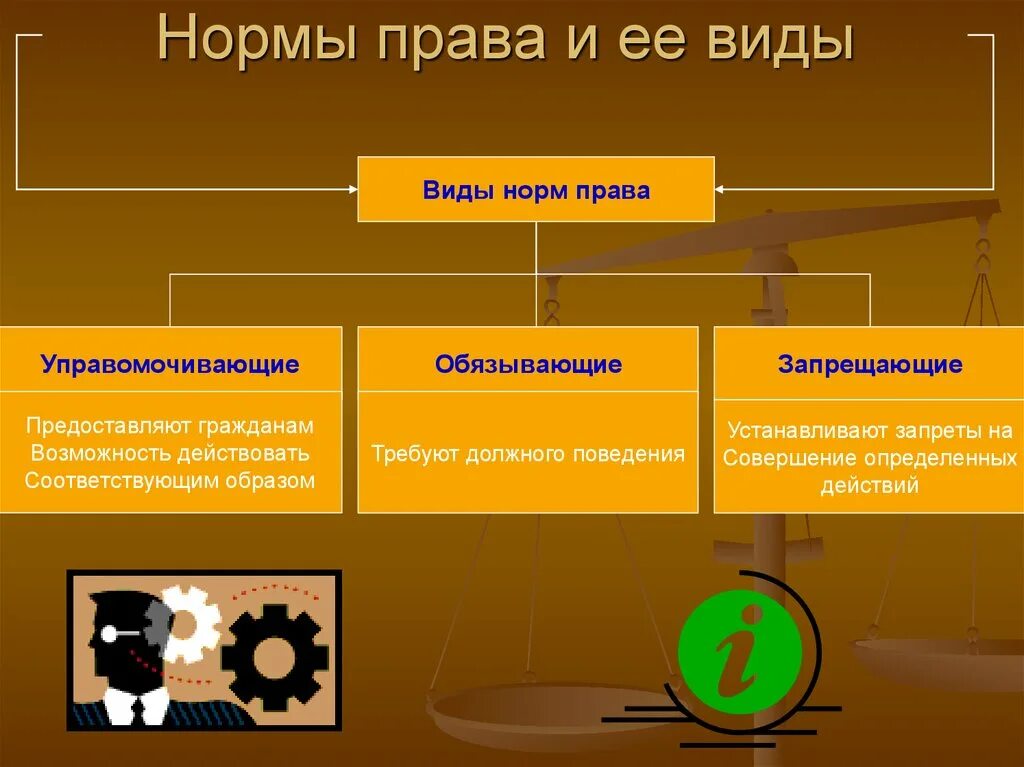 Правовые нормы примеры.