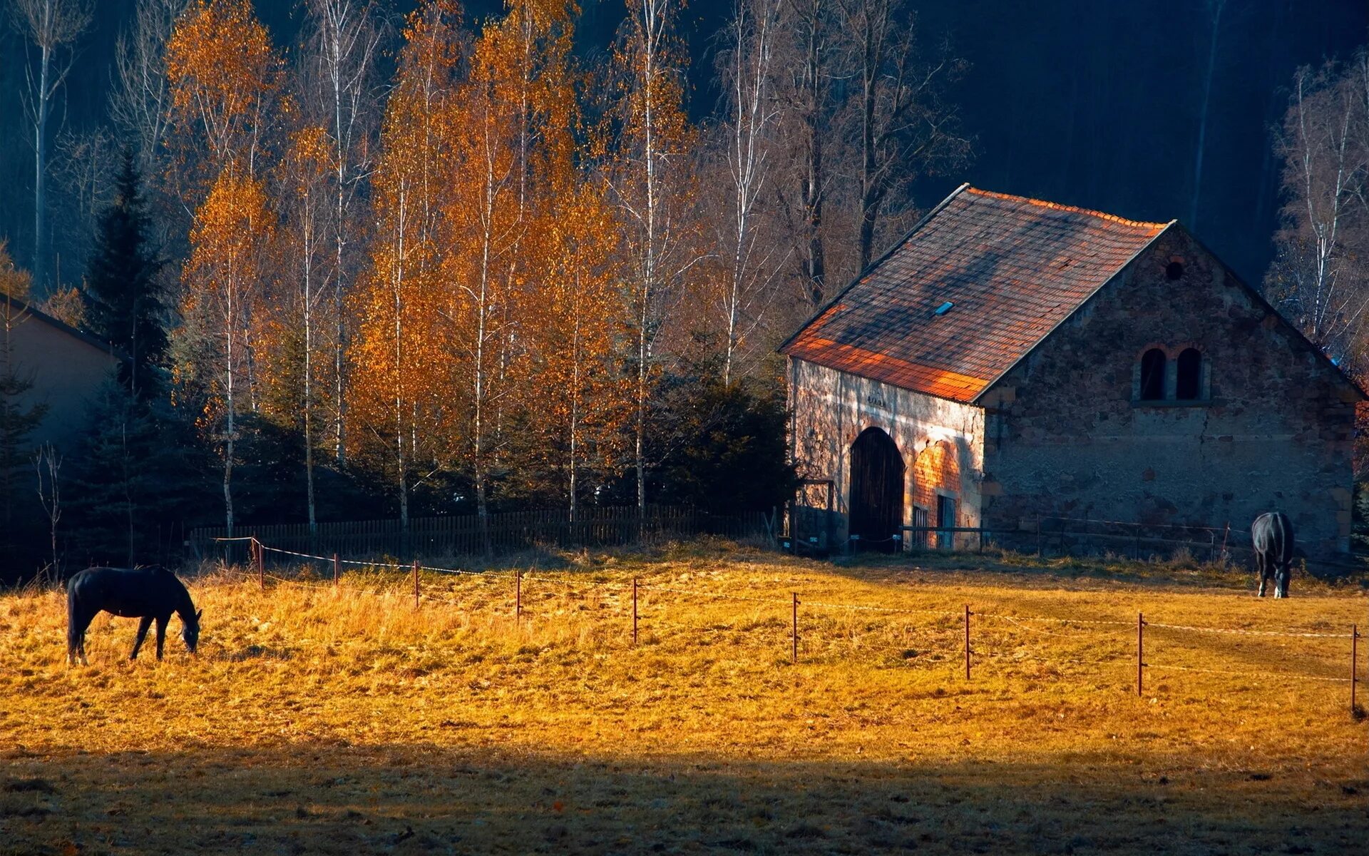 Осень в деревне. Деревня осенью. Красивая осень в деревне. Домик в лесу. Картинка на рабочий стол деревня