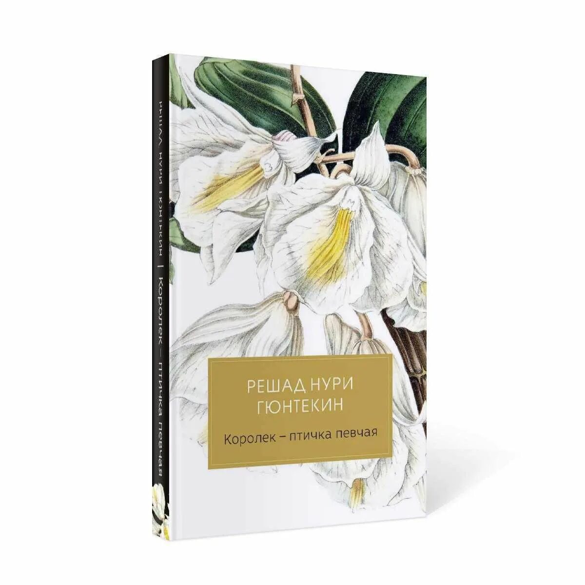 Решад нури гюнтекин королек птичка певчая. Решад нури гюнтекин птичка певчая. Решад нури гюнтекин птичка певчая книга. Гюнтекин решад королек птичка певчая. Гюнтекин птичка певчая.
