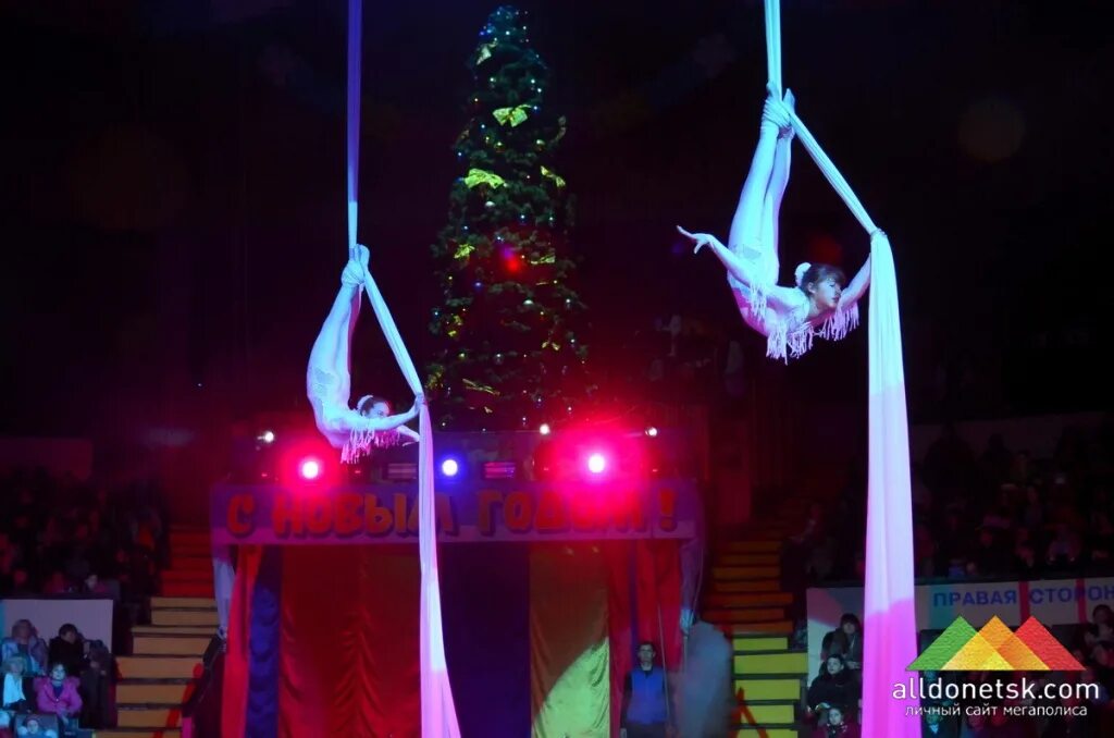 елка в цирке никулина 2022. елка в цирке на цветном бульваре. ели в цирке. цирк шапито олега плахтеева. цирк никулина елка 2020.