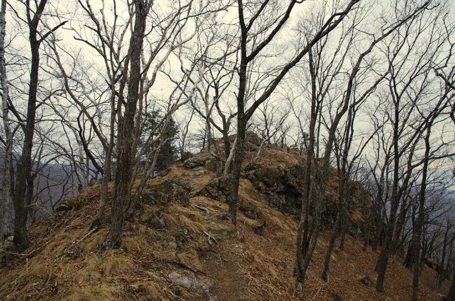 богатая грива владивосток. богатая грива приморский край. хребты богатая. гора колокольня кумардак. межгорные котловины алтая чуйская степь.