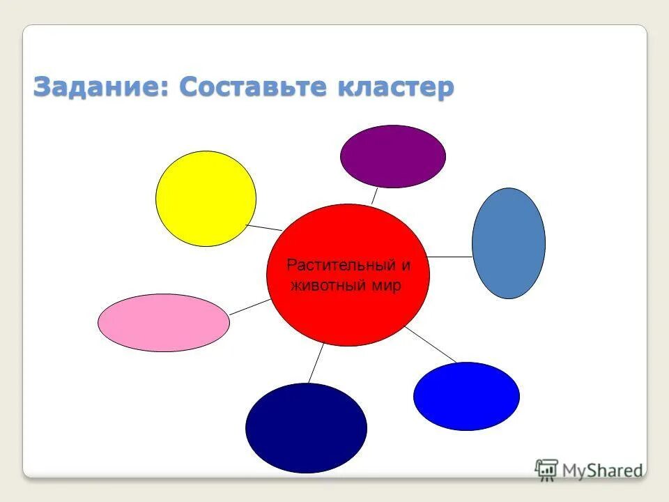 Кластер задача. Кластер о животных. Кластер рефлексия. Кластер на тему мир животных. Кластер на тему животный мир.