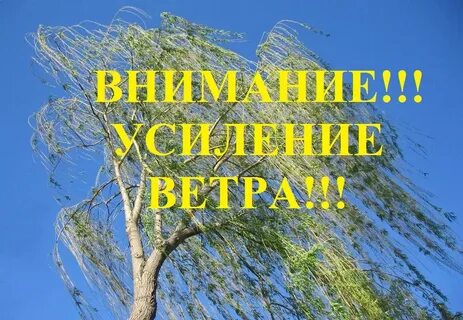 Сильный день в мае