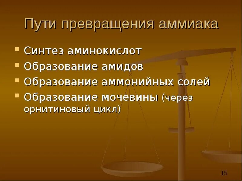 Ошибки путей преобразования