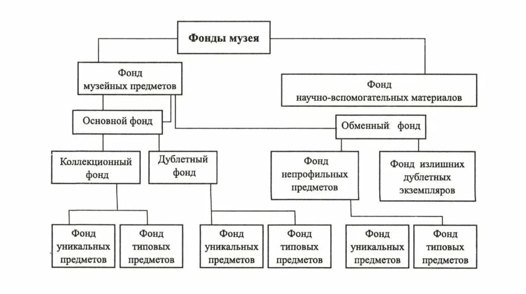 Структура организации музея. Научная организация музейных фондов. Структура музея схема. Структура фондов музея.