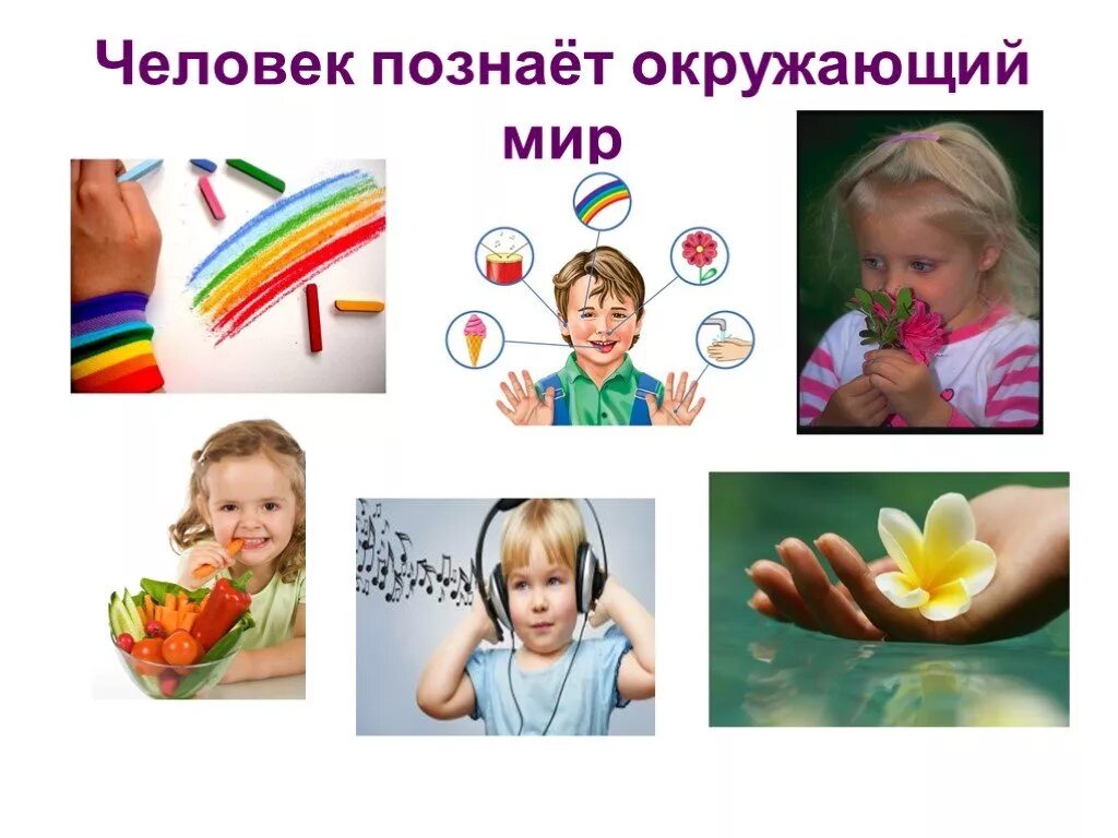 Скороходова ольга ивановна книги. Как дети воспринимают окружающий мир. Чувственное познание окружающего мира. Как дети воспринимают окружающий мир. Познание окружающего мира ребенком.