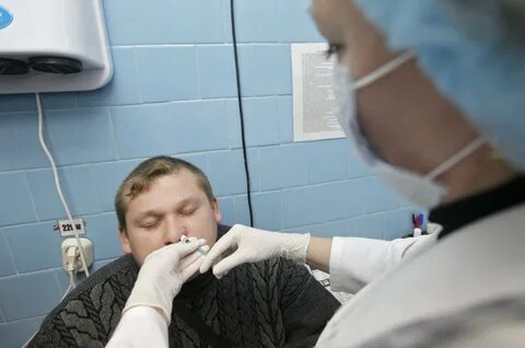 Заболеваемость гриппом в петербурге