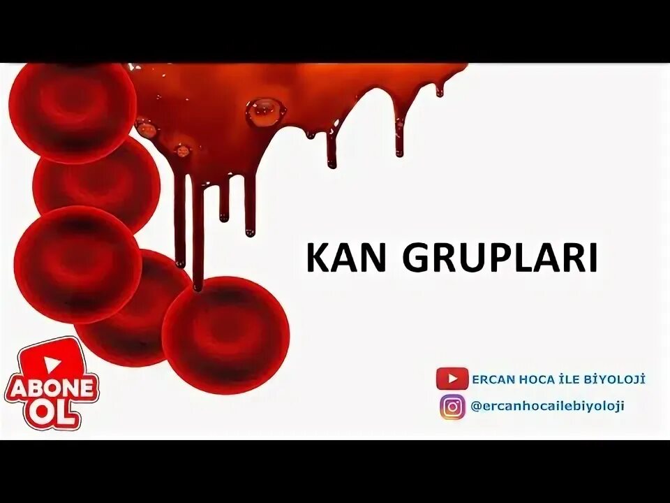 Пробирки с кровью в лаборатории. Тромбоциты картинки. Эритроциты в сосуде. Kan bağişi slogan. Эритроциты днк.