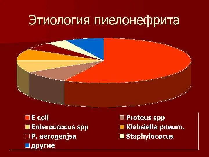 Пиелонефрит статистика. Частота заболеваний пиелонефрита. Распространенность острого пиелонефрита. Хронический пиелонефрит распространенность. Пиелонефрит статистика заболеваемости.