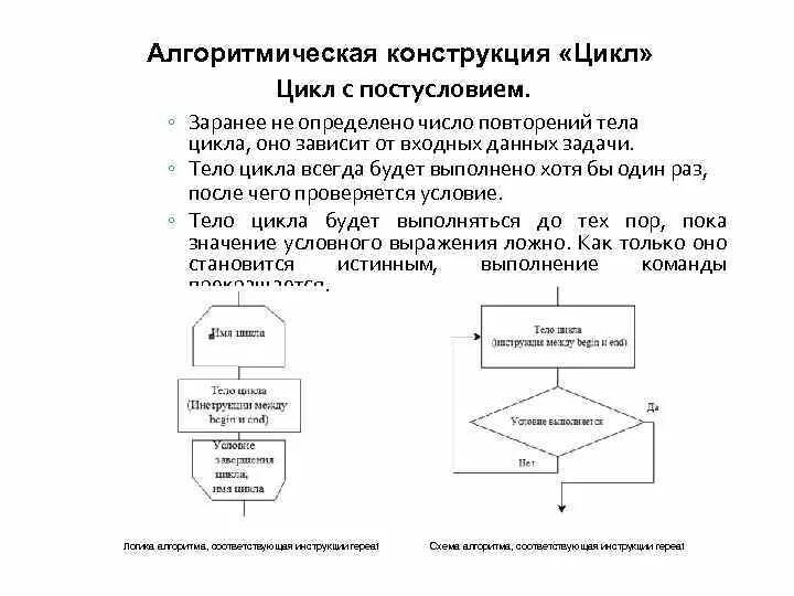 Число повторений тела цикла. Число повторений тела цикла