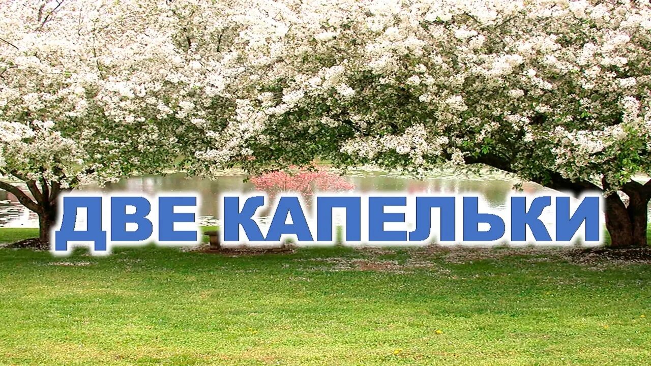 Песни шевченко две капельки. Песни шевченко две капельки