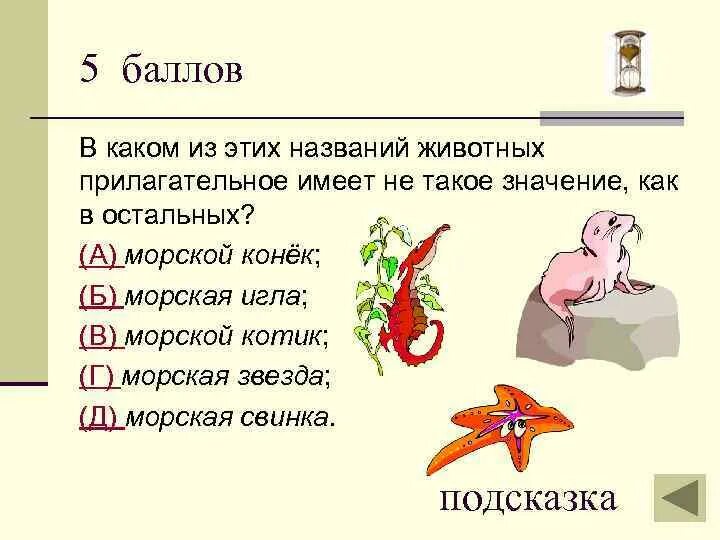 Имя прилагательное кот какой. Животные прилагательные. животное какое прилагательное. животные и прилагательные к ним. 20 прилагательных.