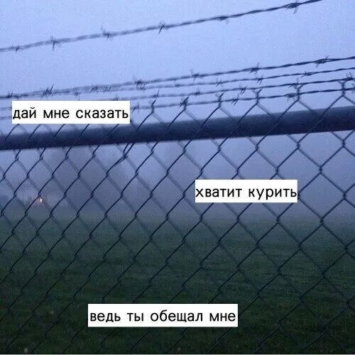 Мы сидели и курили сплин клип. Стихи про сигареты и любовь. Песня мы очень много курили ведь. Стих курение убивает прочитав. Песня мы очень много курили ведь.
