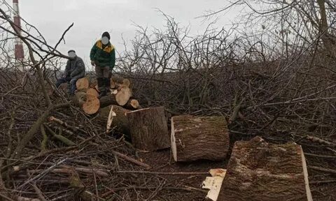 Дерева последствий