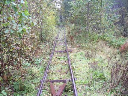 Узкоколейка в беларуси