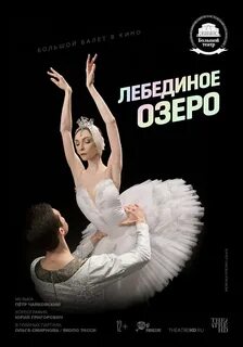 Афиша лебедин
