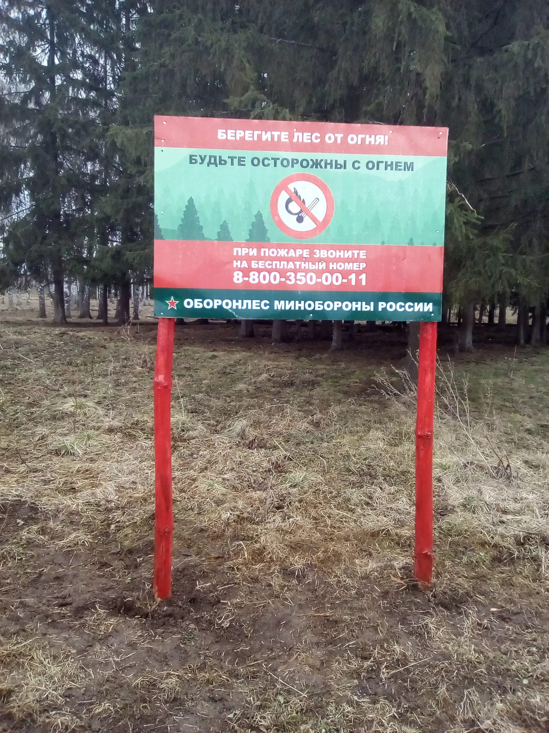 аншлаг на противопожарную тематику в лесах. аншлаги противопожарные. противопожарные аншлаги в лесах. аншлаг в лесу. противопожарные аншлаги в лесу.