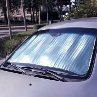 Windscreen