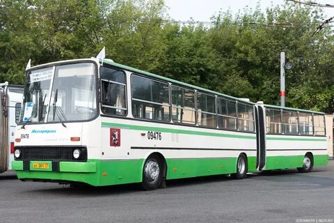 Автобус плодовое