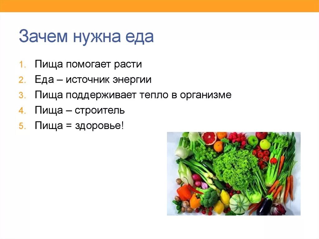 Для чего человеку нужна пища. Зачем нужна еда человеку. Почему человеку необходима пища. Почему человеку нужна пища.