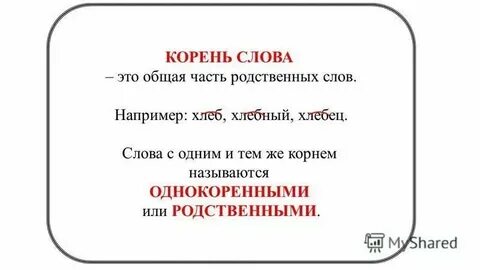 Сосед какой корень
