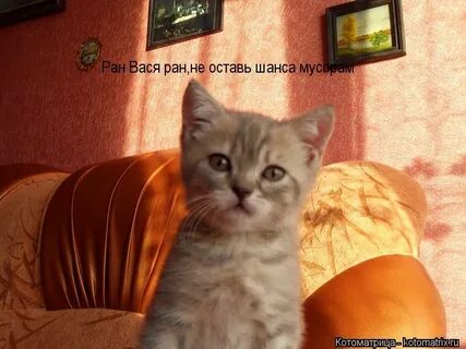 Я тебя оставлю не оставлю шанса