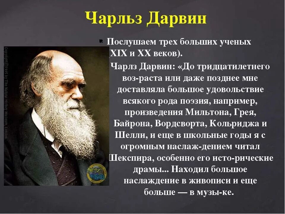 Каким ученые видели 20 век. Великие ученые. Ученые 19-20 века. Великие ученые 20 века. Выдающийся учёный XX века.