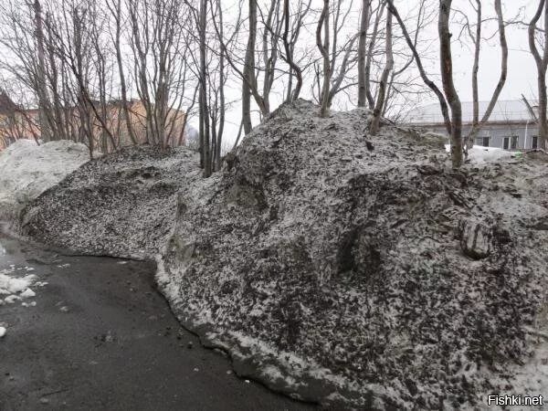 Бутырка на дороге грязный снег. Грязный снег. Снег весной грязный. Грязный весенний снег. Грязный сугроб.