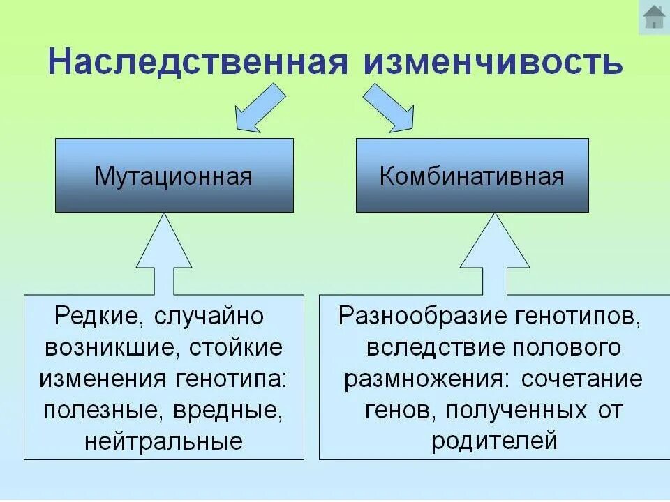 В результате изменения генотипа. Мутационная и комбинативная. Наследственность типы мутационная. Наследственная изменчивость мутационная. Наследственная изменчивость мутационная и комбинативная примеры.