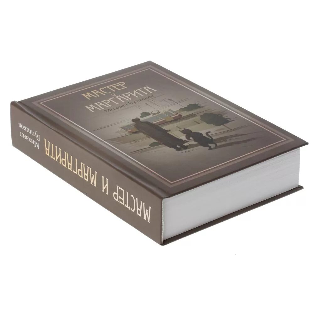 Мастер и его книга. Мастер и его книга